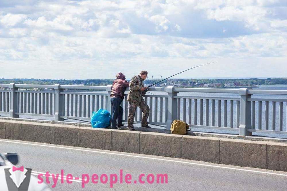 Rybolov v Saratov na Volge: fotografie a recenzie