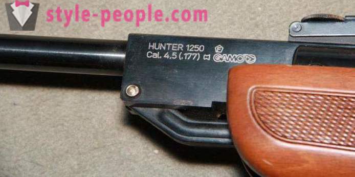 Vzduchovka Gamo Hunter 1250: prehľad, rysy a recenzie