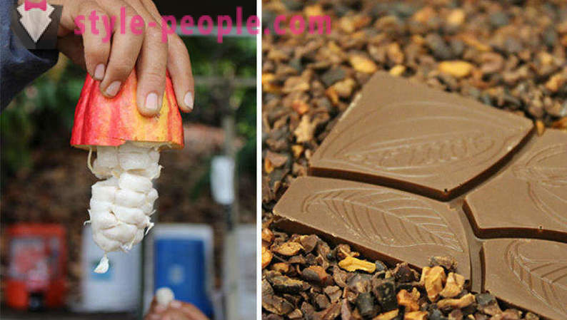 Spôsob pestovania a výrobe čokolády