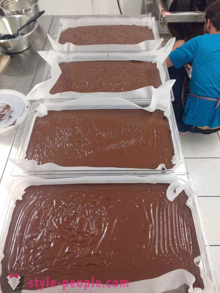Spôsob pestovania a výrobe čokolády