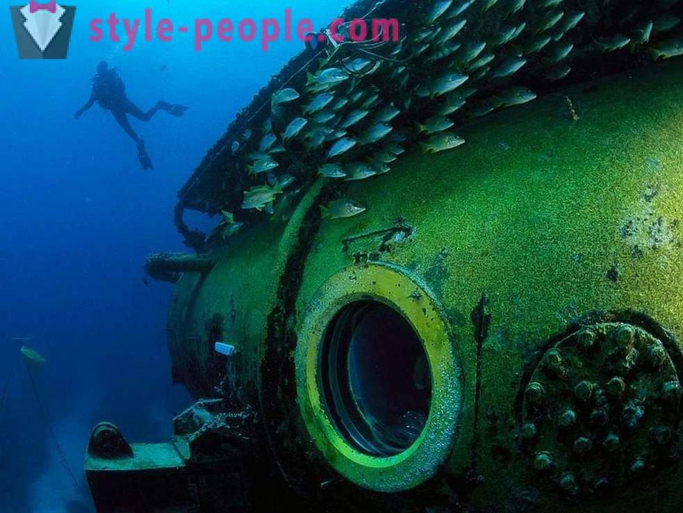 Úžasné obyvatelia podmorského sveta v obrazoch