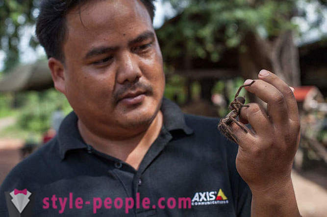 Kambodžania lovci Tarantula
