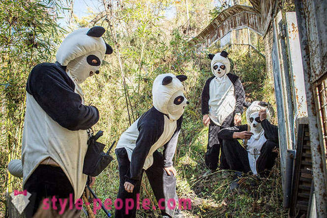 Ako pestovať obrie pandy v Sichuan