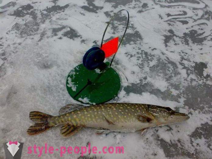 Zimný rybolov na ľade prvého: tipy skúsení
