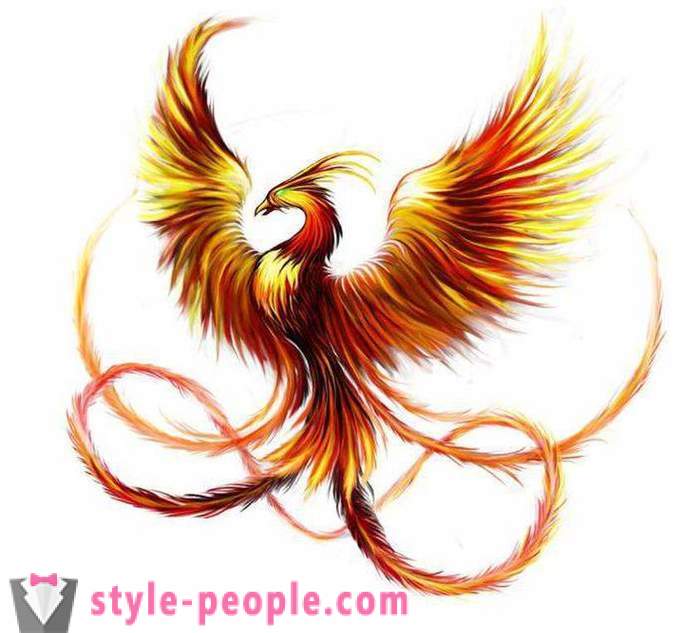 Phoenix Tetovanie: náčrty a možnosti