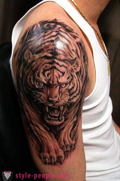 Hlavným prínosom tiger tetovanie