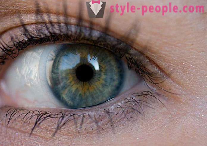 Swamp farba očí. Čo určuje farbu ľudské oko?