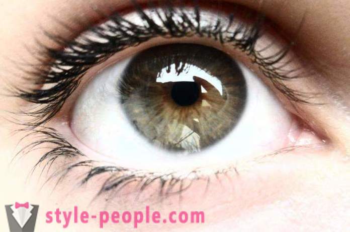 Swamp farba očí. Čo určuje farbu ľudské oko?