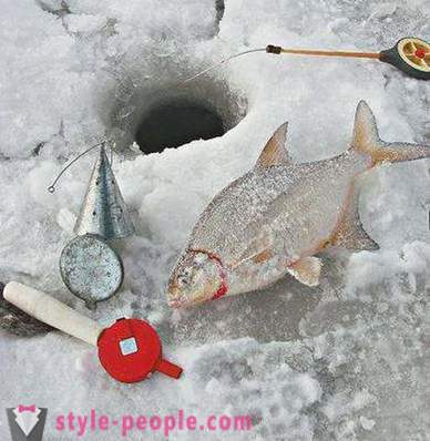 Pleskáč rybárčenie v zime: jemnůstky pre začínajúcich rybárov
