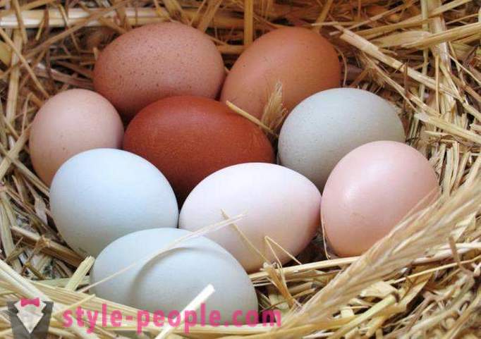 Egg diéta: opis, výhody a nevýhody